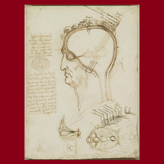 Las lágrimas de Leonardo