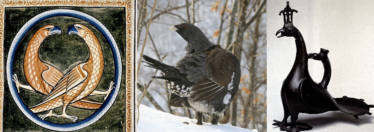 Todo en contra de la gallina meda de Ancares